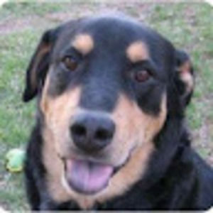 Meet your Posher, Marcelo